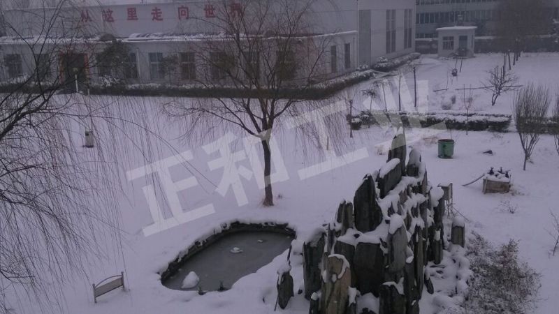 廠區(qū)實景